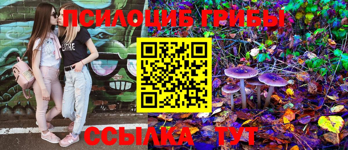 Кинешма  Галлюциногенные грибы GOLDEN TEACHER  Вход с VPN 