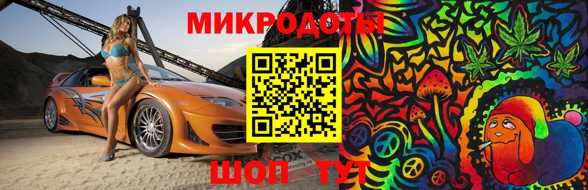 Псилоцибиновые грибы Psilocybine cubensis Кинешма